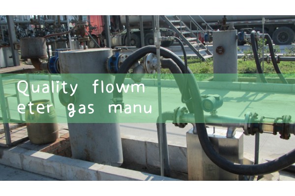 Quality flowmeter gas manufacturer
